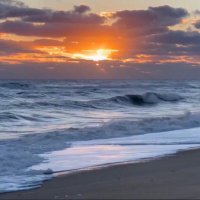CCRider54 (@rider54cc5012) 's Twitter Profile