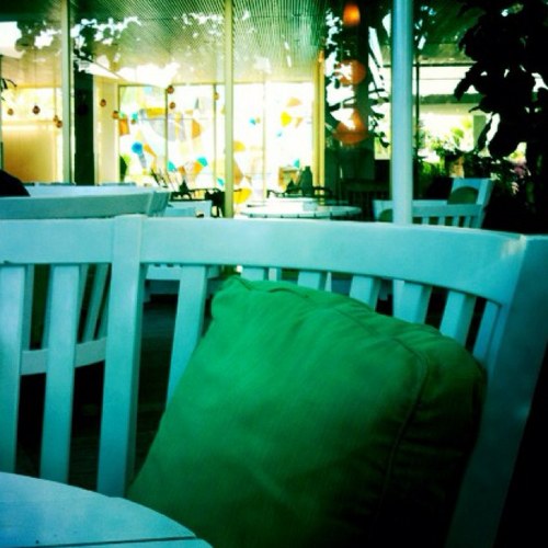 javiernir's profile picture. 