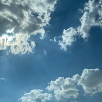 badriya (@b_alnajdi) 's Twitter Profile