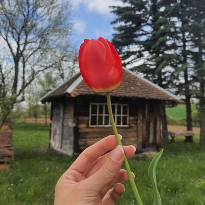 Okultna_ironija's profile picture. Dentist. Ex upravnica zgrade. Idol Djordje Cvarkov. Dog person.