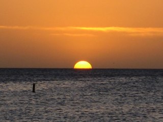 louismastellone's profile picture. 