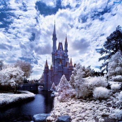 Yasu__48's profile picture. ダーツ/祭り(神輿)/ディズニー/写真(空)/が大好き！！