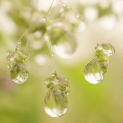 AmeShizukuJewel's profile picture. ♡素敵＆共感＆趣味＆情報アカ様の閲覧用♡