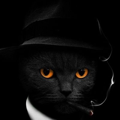 JoyceLissa56374's profile picture. lyf bi tym🎇🎁