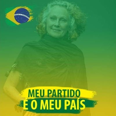 vó do zap, conservadora, bolsonaro raiz, completamente anti esquerdista