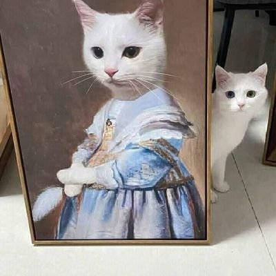 valenpernalonga's profile picture. Não cheiro maconha mas cheiro livros