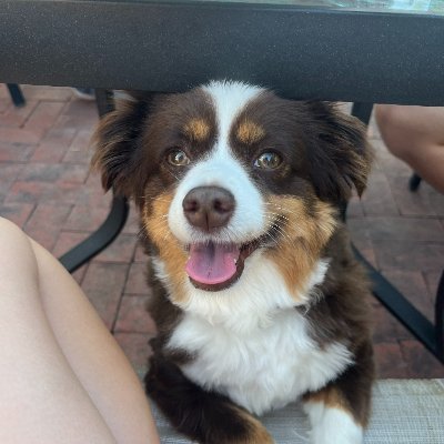 leah_bunnell's profile picture. 