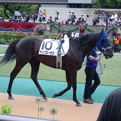 競馬垢/藤田晋オーナー所有馬応援
基本情報収集