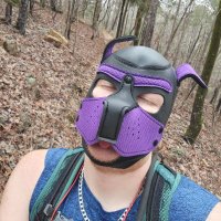 PupSilox (New Year Same Cage) (@siloxpup) 's Twitter Profile