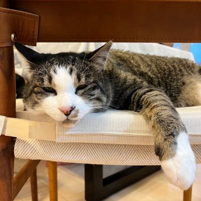 v95FLGCIfn02viQ's profile picture. 