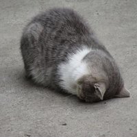 mol (@adorefeen) 's Twitter Profile Photo mol (@adorefeen) 's Twitter Profile Photo