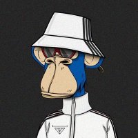 spotted keen(@spottedkee28512) 's Twitter Profile Photo