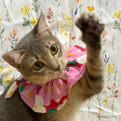 Baitongps4289's profile picture. Cute Stuff💖อะไรน่ารัก เราเอามารวมไว้ให้แล้ว