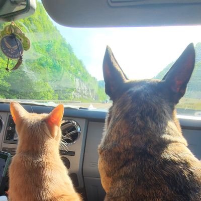 kamcwv's profile picture. America First!
MAGA
Marshall University Alumni-GO HERD!
Proud wife of USAF Vet
Hillbilly
Pureblood