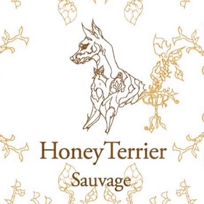 Honey Terrier Sauvage