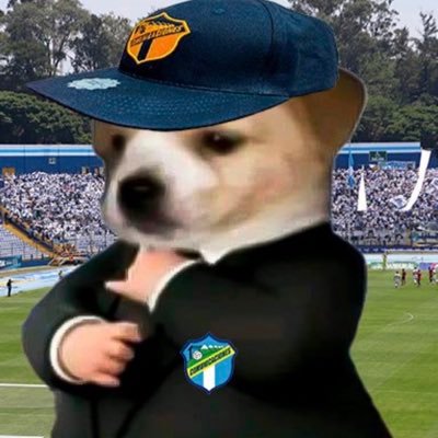 Rand41's profile picture. Live for today, plan for tomorrow.