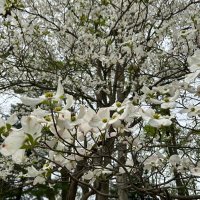 REG (@ryaneg_phd) 's Twitter Profile Photo