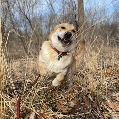 JustinStuparitz's profile picture. JHU & W&M business schools. Austrian school of economics. Free capitalist. Software architect.