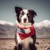 TOM//Collie 🇨🇱 (@tomporchile) Twitter profile photo TOM//Collie 🇨🇱 (@tomporchile) Twitter profile photo