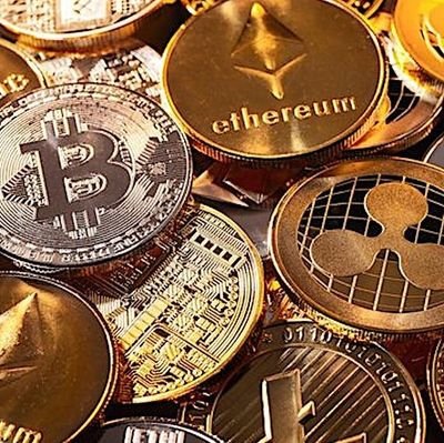 LyelShibarium's profile picture. Crypto Investor | Not a Financial Advisor