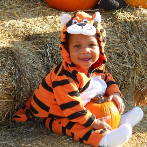 CandaceProctor's profile picture. Mom and Montessori teacher raising the most amazing little boy ever with the love of my life!