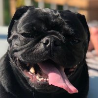 π
²πππ
Ώππ
Ύπ
Άπ
Ύππ
³ C.U. π¨π¦ (@1cryptogord) 's Twitter Profile