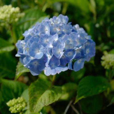 mastermind01010's profile picture. 