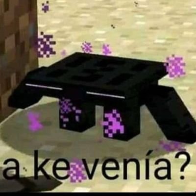 EstoyPendeja_'s profile picture. Que chuchas haces aquí? ni entres porque no hay nada interesante en esta cuenta