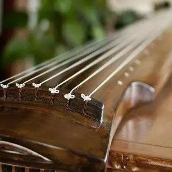 jaygibson534's profile picture. 古琴爱好者