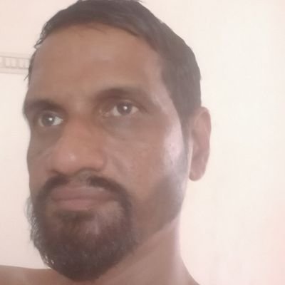 Software Specialist