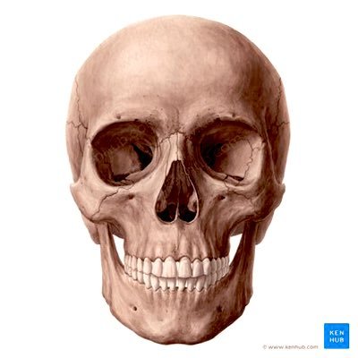 dead17yrs's profile picture. -18–college student—obese—