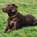 Dan Howe - @Danican889 - Twitter