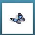 Kaseman20 - Comms Closed (@kaseman2023) Twitter profile photo Kaseman20 - Comms Closed (@kaseman2023) Twitter profile photo