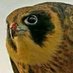 آلَجّآرحً (@66lvj) Twitter profile photo آلَجّآرحً (@66lvj) Twitter profile photo