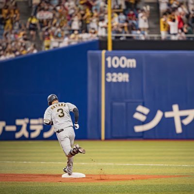 阪神が好きなただの大学生/大山悠輔/髙橋遥人/森木大智/前川右京/中川勇斗