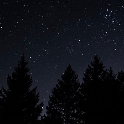 23_qi1's profile picture. 