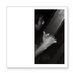 lin ping (@linping) Twitter profile photo lin ping (@linping) Twitter profile photo