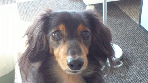 chopper_wada's profile picture. 週末アングラー＆ビギナーキャンパーですU`ｴ´Uv 

釣りチャンネル登録はこちら→　 https://t.co/A3cHiKUtEj