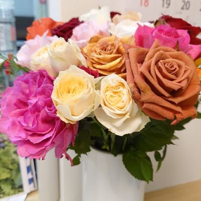 window_rearing's profile picture. どこかの小学生と中学生の保護者
