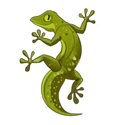 gecko_study Profile Picture