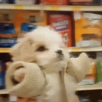 dahulilang's profile picture. 