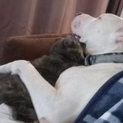 Sara Robinson (@srobinsonhdj) 's Twitter Profile Photo