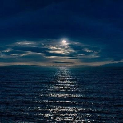 blinkPNG7's profile picture. 🖤💗