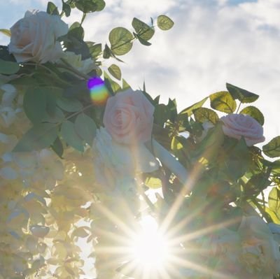 LouiseMuncaster's profile picture. ...