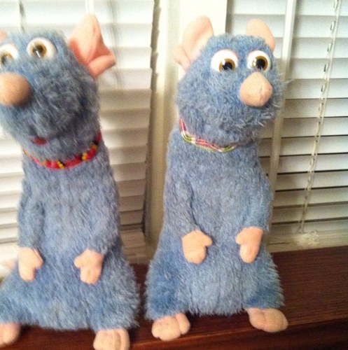 Bobs_Buddy's profile picture. 