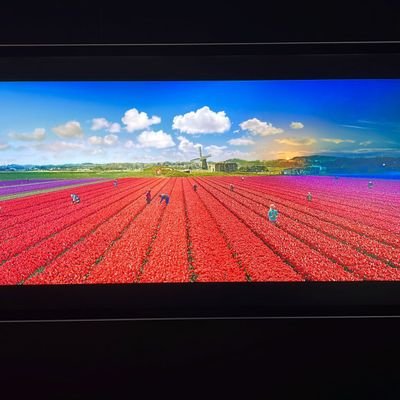 Alessan53759680's profile picture. 