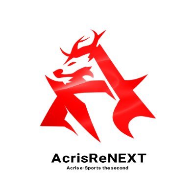 Acris ReNext e-sports