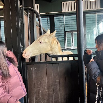 xj8N0T7XbJtN4wa's profile picture. Don't give up your illusions. When the illusion is gone, you can still survive, but you are alive but not dead.