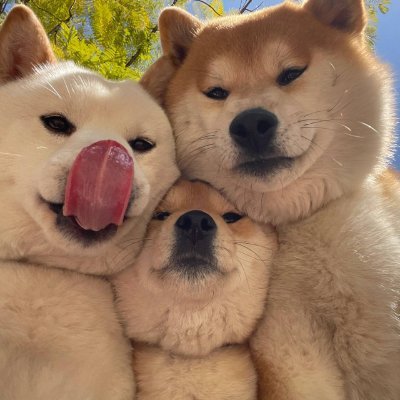 peyman137122's profile picture. 人より優れていることが尊いのではなく、本当に尊いのは、自分の過去より優れていることです。