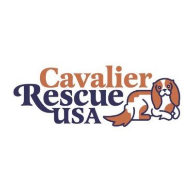 We're with Cavalier Rescue USA, an all volunteer, national non-profit organization whose focus is to find great new homes for Cavaliers who need them.